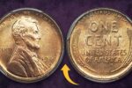 1909-S VDB Lincoln Cent